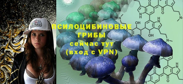 прущая мука Алзамай