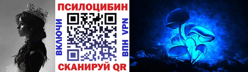 Галлюциногенные грибы Psilocybine cubensis  где продают   Опочка 