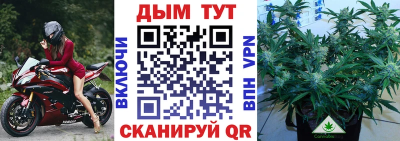 Бошки марихуана гибрид  Опочка 